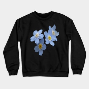 Forget Me Nots Remembrance Flowers Crewneck Sweatshirt